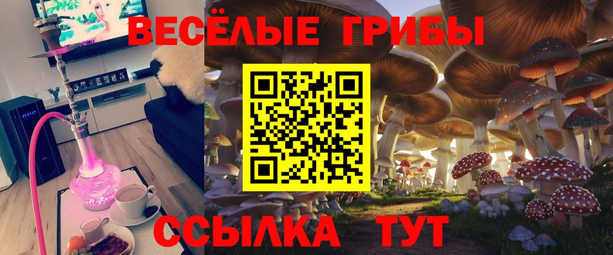 Галлюциногенные грибы Cubensis Фурманов